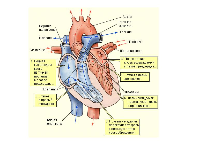 roditelyam_part_01